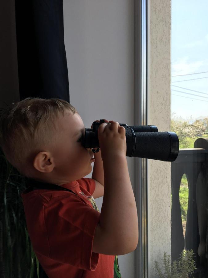Sarnia Polana Villa Kostrzyca Luaran gambar